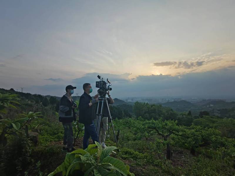 创意破圈！澜沧电商产品宣传视频用故事化叙事引爆流量