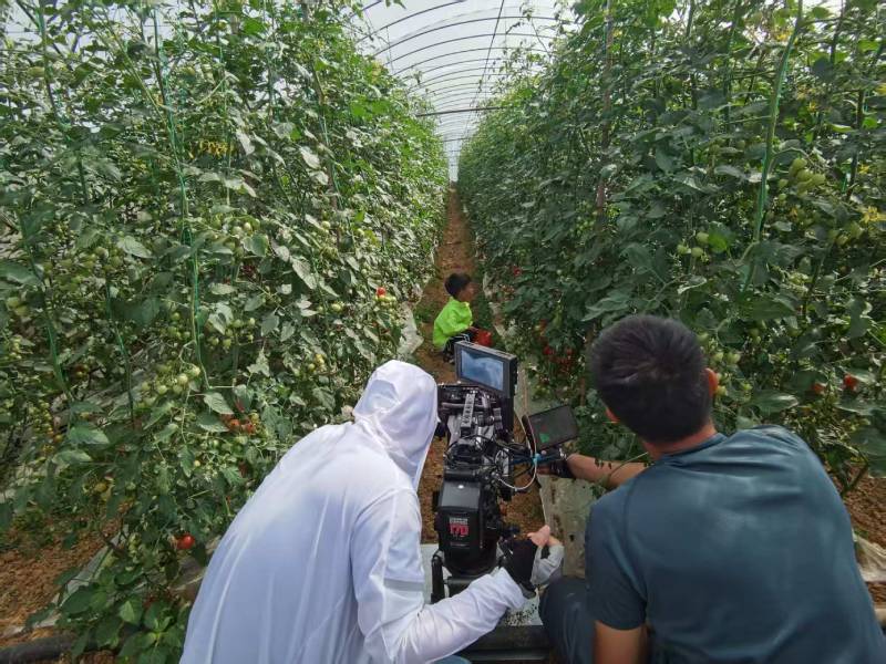 澜沧产品宣传视频拍摄公司进阶指南，助力品牌抢占传播高地